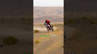 Ducati DesertX Rally  A serious offroader from Ducati  MotoShift ducati desertx [upl. by Sedda]