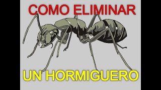 COMO ELIMINAR UN HORMIGUERO DEFINITIVAMENTE [upl. by Annahsirhc]