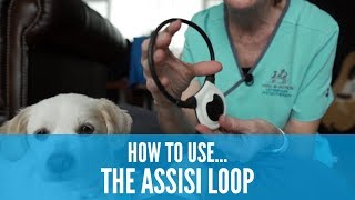 How to use the Assisi Loop How To 影片系列 Assisi Loop [upl. by Sib362]