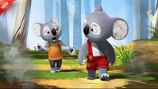 Blinky Bill A koala Sets Out on a Mission to Find his Missing Father In Hindi [upl. by Esinyt]