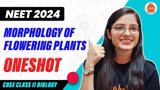 Morphology of Flowering Plants in One Shot  CBSE Class 11 Biology  NEET 2024 [upl. by Japha]