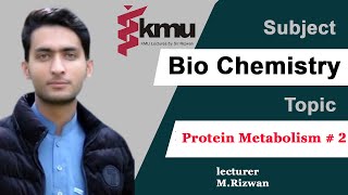 Chap10  Part2  Metabolism of Protein  BSN and Paramedic UrduHindi with solve MCQS [upl. by Kciremed]