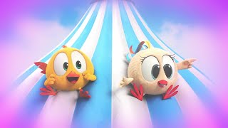 THE DREAM  Wheres Chicky  Cartoon Collection in English for Kids  New episodes [upl. by Kieffer]