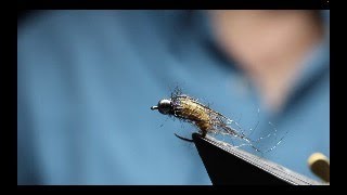 Tying the Scruffy Caddis Fly Tutorial of killer fly by my good friend Stevie Dallas [upl. by Chico]