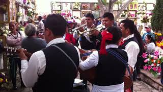 mariachi espuelas de oro de penjamo gtoTE VAS ANGEL MIO [upl. by Hanauq]