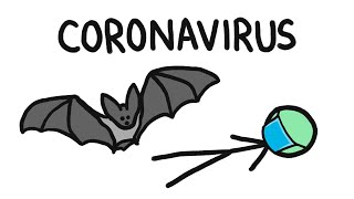 Why Do Bats Carry So Many Diseases like Coronavirus [upl. by Siduhey]