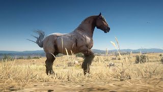 Horses  Red Dead Redemption 2  Ardennes horse herd [upl. by Delcine]