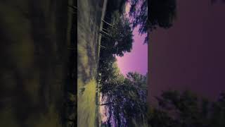 FPV Treestyle fpv freestylefpv drone nostab fpvdrone fpvlife sky treestyles [upl. by Daria415]