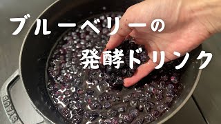 ブルーベリー酵素（発酵ドリンク）の作り方…手作り酵素とは？失敗しない作り方､飲み方をご紹介しています！ [upl. by Yniatirb880]