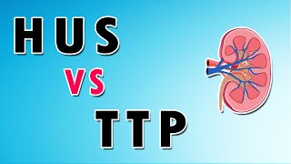 HemolyticUremic Syndrome [upl. by Brandwein]