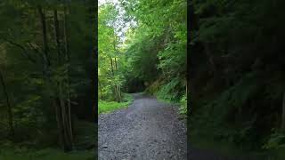 Watch the whole 🚲 EBike tour on my YouTube channel 🇨🇭 Canyon EBike EBiketour switzerland [upl. by Lingwood]