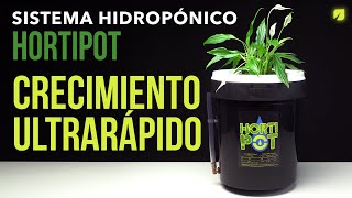 Sistema HIDROPÓNICO en Casa  Sistema de Cultivo Hidropónico FÁCIL  Hortipot  HORTITEC [upl. by Noivart247]