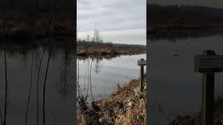 Burnaby Lake Regional Nature Park  加拿大大温地区，本那比湖畔公园 自然风光 [upl. by Nellek919]