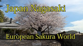 Japan Kyushu Nagasaki European World Dutch Slope Higashiyamamate Oura Cathedral Glover Garden [upl. by Cline]