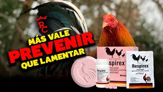 El mejor preventivo para enfermedades respiratorias RESPIREX [upl. by Magbie]