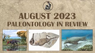 August 2023 Paleontology Month in Review [upl. by Annauqahs694]