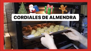 ✅ Cordiales de Almendra  RecetasdeSALASJC cordiales [upl. by Yggep878]