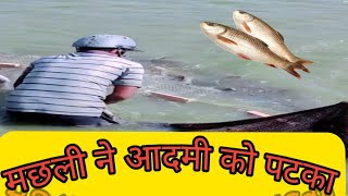 Fish l Fishing l manupriya l talab l [upl. by Anais]