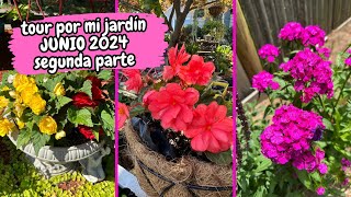 TOUR POR MI JARDIN JUNIO 2024 SEGUNDA PARTE [upl. by Idalia]