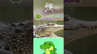 The Crocodile Song  crocodile  Kids Nursery Rhymes  Best Learning Song For Kids  EduFam [upl. by Ojoj]