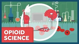 The Science of Opioids [upl. by Gillead]