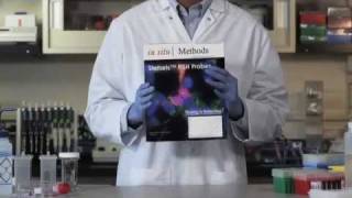 Stellaris RNA Fluorescence In Situ Hybridization FISH Probes Full Video [upl. by Tivad652]