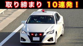 【超スッキリ１０連発‼️】2023年上半期 取り締まりベスト10‼️ 覆面パトカー [upl. by Leora]