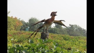 Insights from China on the Dinosaurian Origin of Birds [upl. by Eresed176]