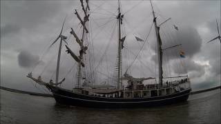 Delfsail 2016 Sail in [upl. by Panter180]