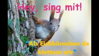 🎵🤍🐿️🧗‍♂️🌲👀quotAls Eichhörnchen da klettern wirquot Kinder u Volkslieder  Liedtext Notenlink ↓InfoBox [upl. by Vudimir]