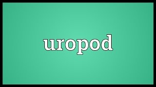 Uropod Meaning [upl. by Okomom]