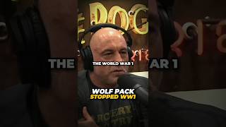 How Wolf Packs Stopped WW1 [upl. by Oirromed]