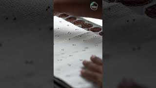 Plant 100s of seeds in a couple of seconds [upl. by Osswald]