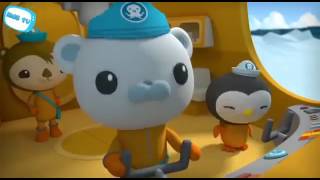 Octonauts Full Episodes English Octonauts Cartoons Disney Junior Octonauts Full HD Episodes  3 [upl. by Macdermot]