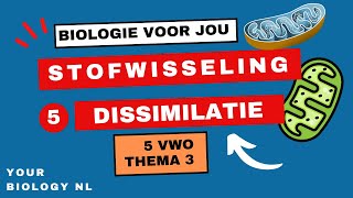 5 vwo  Stofwisseling  5  Dissimilatie [upl. by Ahseel]