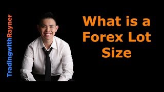 Forex Trading for Beginners 5 What is a Forex Lot Size by Rayner Teo [upl. by Alomeda689]