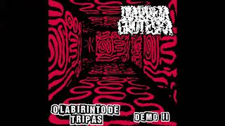 DIARREIA GROTESKA–O Labirinto de Tripas Demo II [upl. by Padegs]