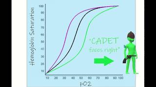 OxygenHemoglobin Dissociation Curve Mnemonic [upl. by Anaujal]