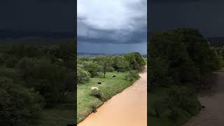 Río Aguanaval Nieves Zacatecas [upl. by Evyn]