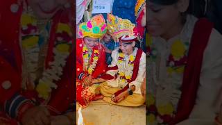 Kaudi khela🫶🥰kandhei bahagharakumarpurnima occasion festivals villagelifestyle shortvideos yt [upl. by Elodia491]