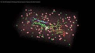 SchrodingerMolecular Dynamics Trajectory ViewAfter Simulation [upl. by Nwahsit]