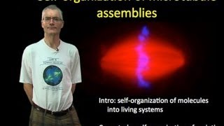 Tim Mitchison Harvard Part 1 Selforganization of microtubule assemblies [upl. by Amorete753]