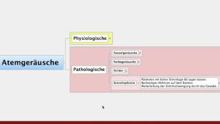 Atemgeraeusche Pathologische und Physiologische für die Heilpraktikerausbildung [upl. by Joy897]