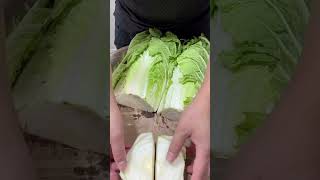 Amazing Green Cabbage Cutting Skills vegetable viralvideo [upl. by Hitoshi]