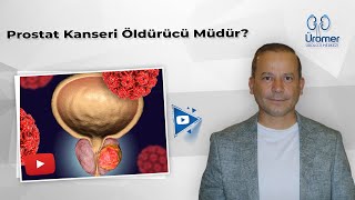 Prostat Kanseri Öldürücü Müdür  Prostat Kanseri Öldürür Mü  Prof Dr Abdullah Armağan [upl. by Araeit830]