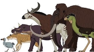 CENOZOIC BEASTS  Animated Size Comparison [upl. by Torrin626]