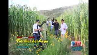 TRES DE MAYO Los Potrillos del Arpa 2014 Full HD Video OFICIAL [upl. by Lisetta830]