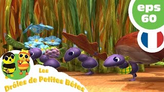 DRÔLES DE PETITES BÊTES  EP08  Une copine pour la vie [upl. by Letnoj]