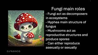 Fungi amp Protists [upl. by Gnoc]