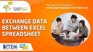 SAP Business One Tips  Exchange Data Between Excel Spreadsheet [upl. by Han798]